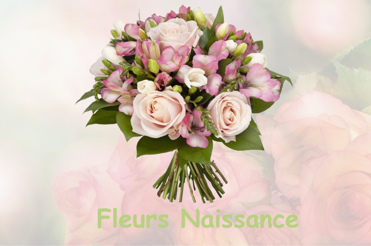 fleurs naissance GOUZENS