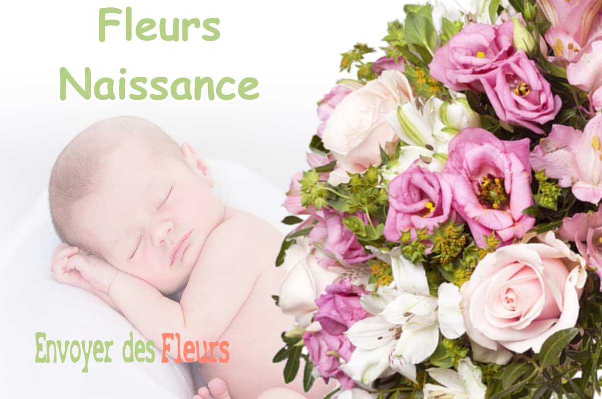 lIVRAISON FLEURS NAISSANCE à GOUZENS